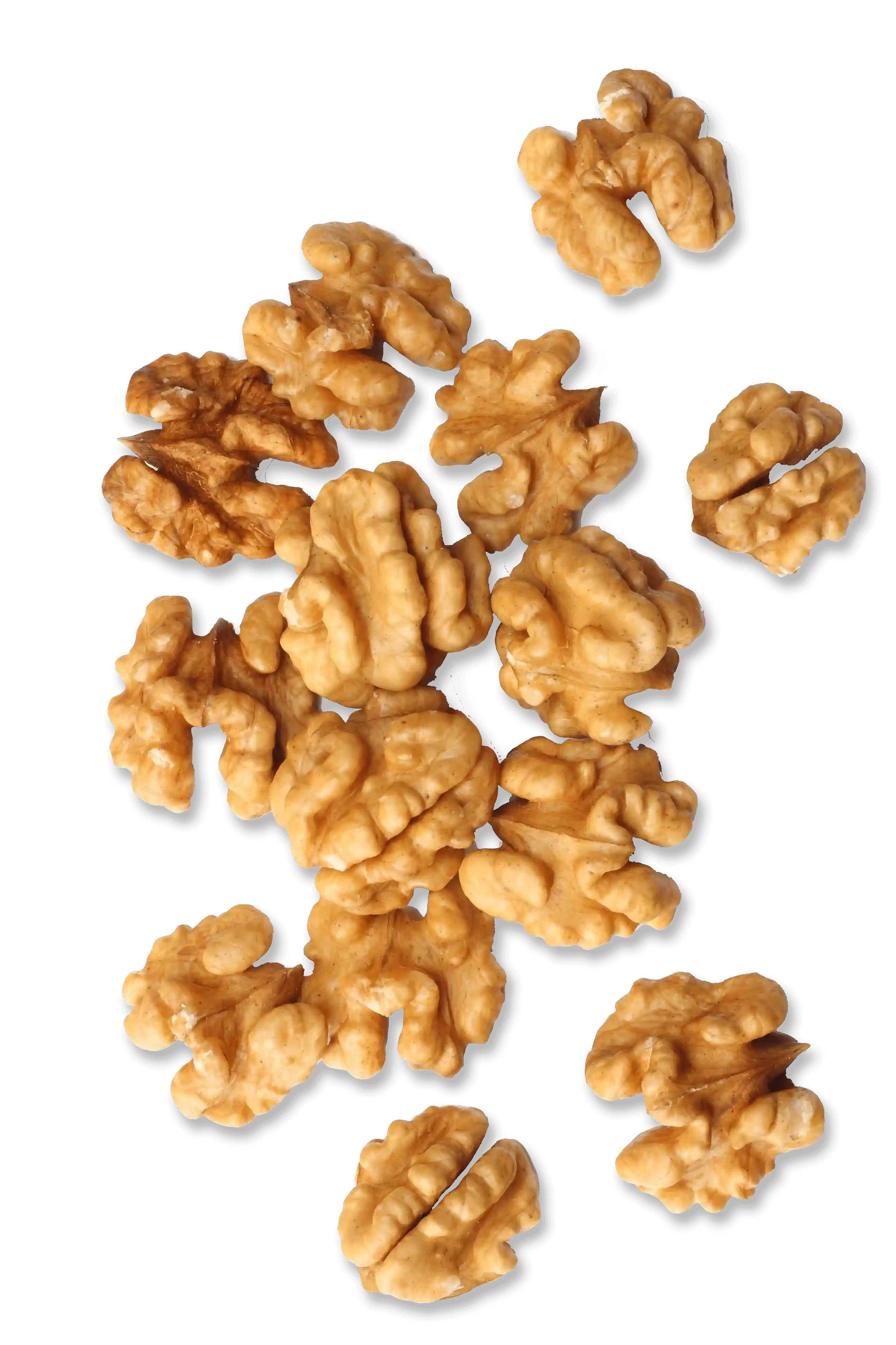 Walnuts