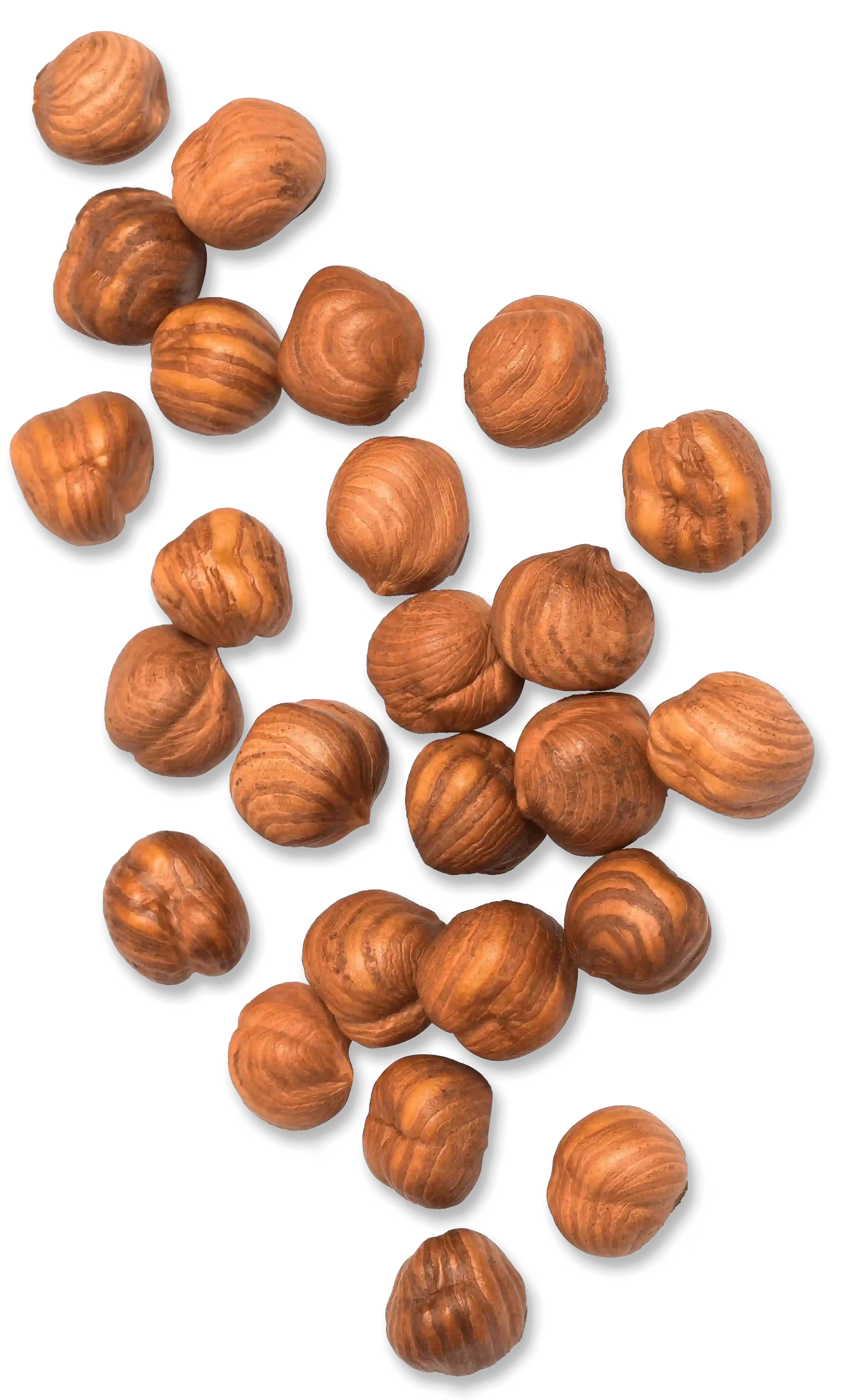 Hazelnuts