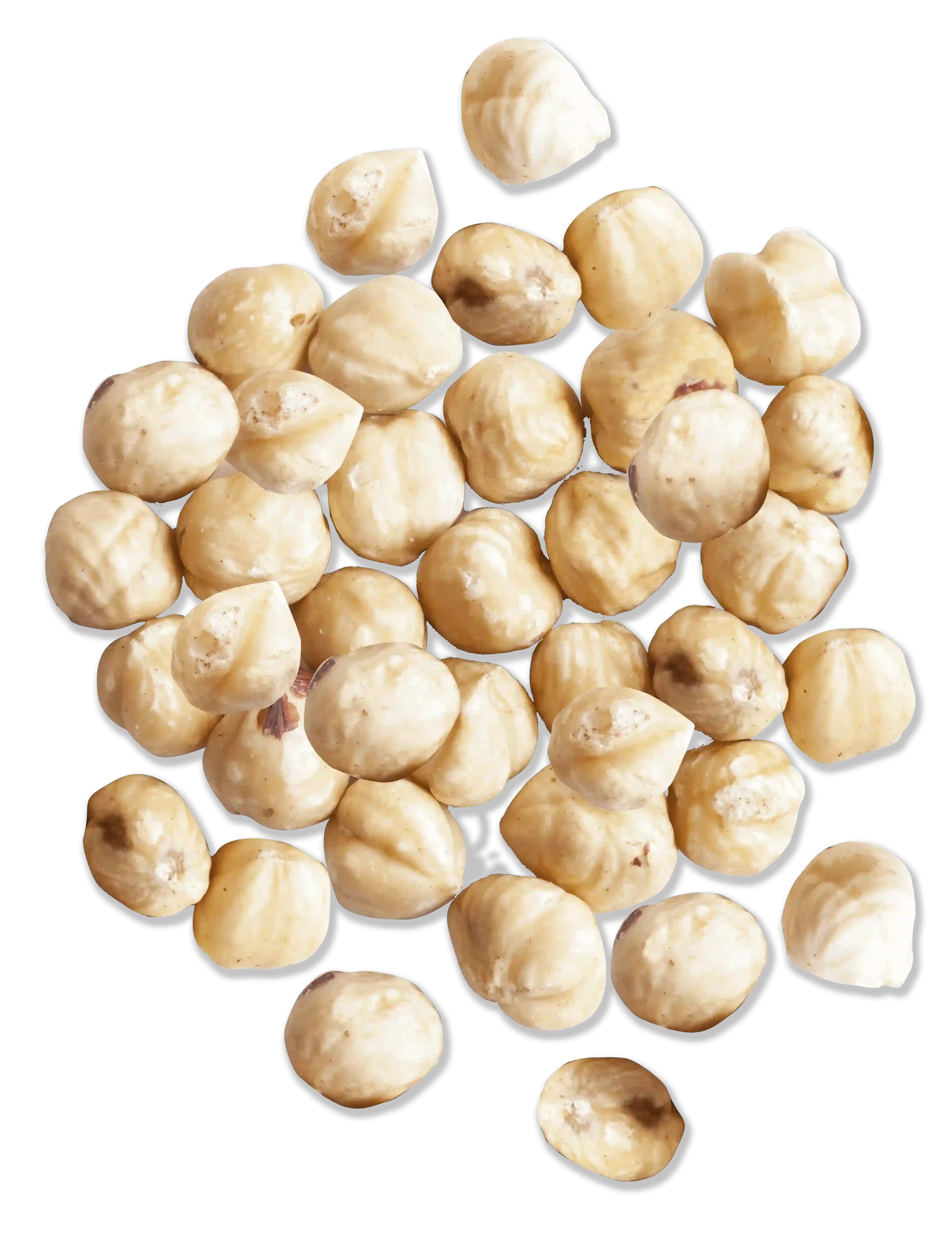 Hazelnuts