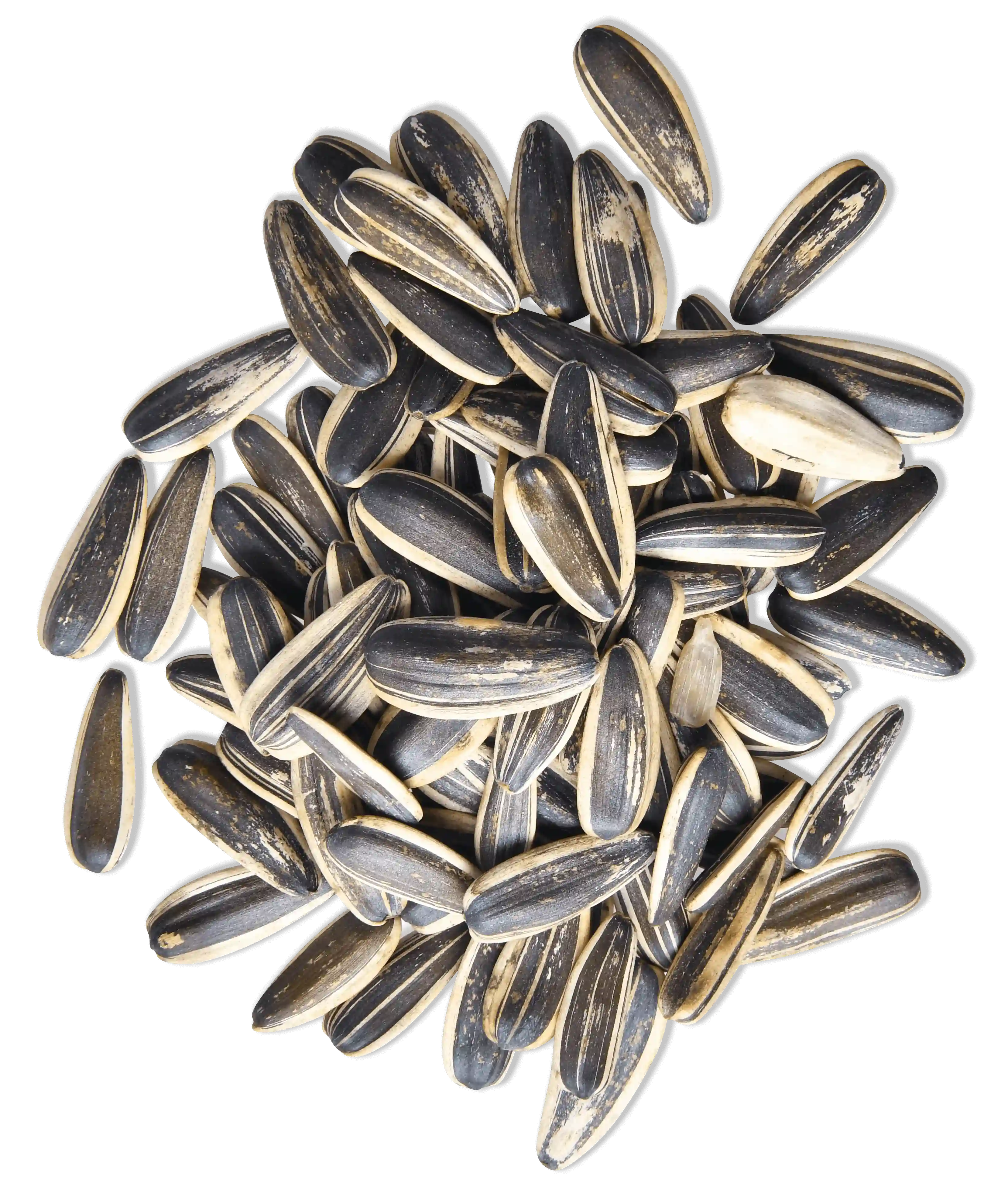 Seeds